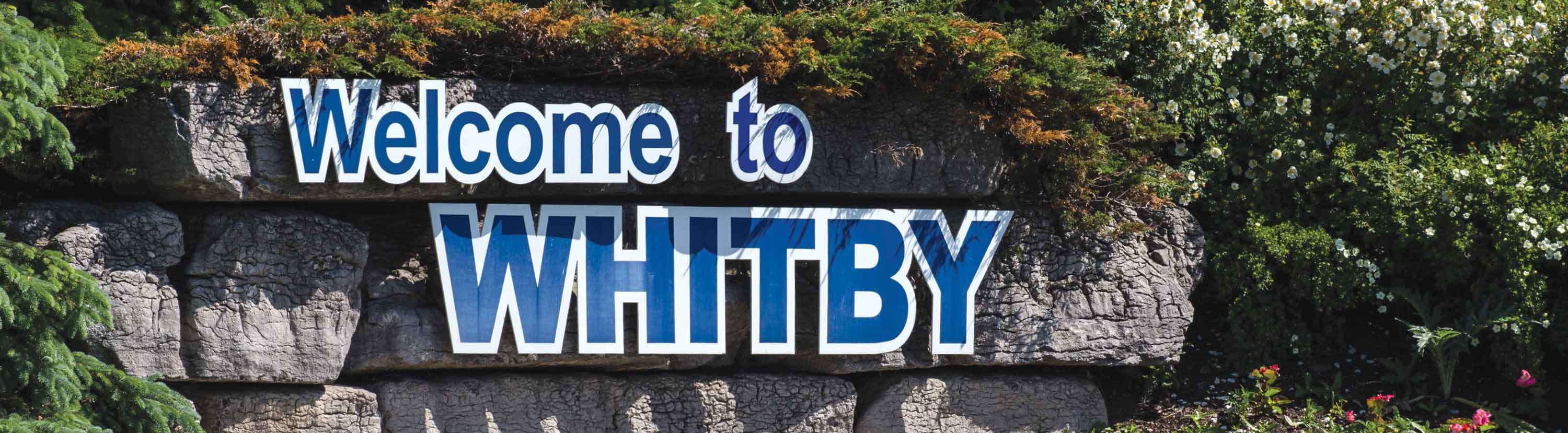 Welcome to Whitby